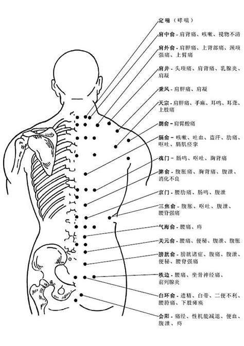 背後穴位圖|人體穴位圖